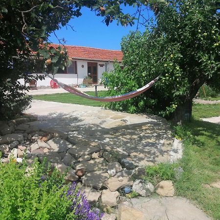 Calla Retreat Vezenkovo Buitenkant foto