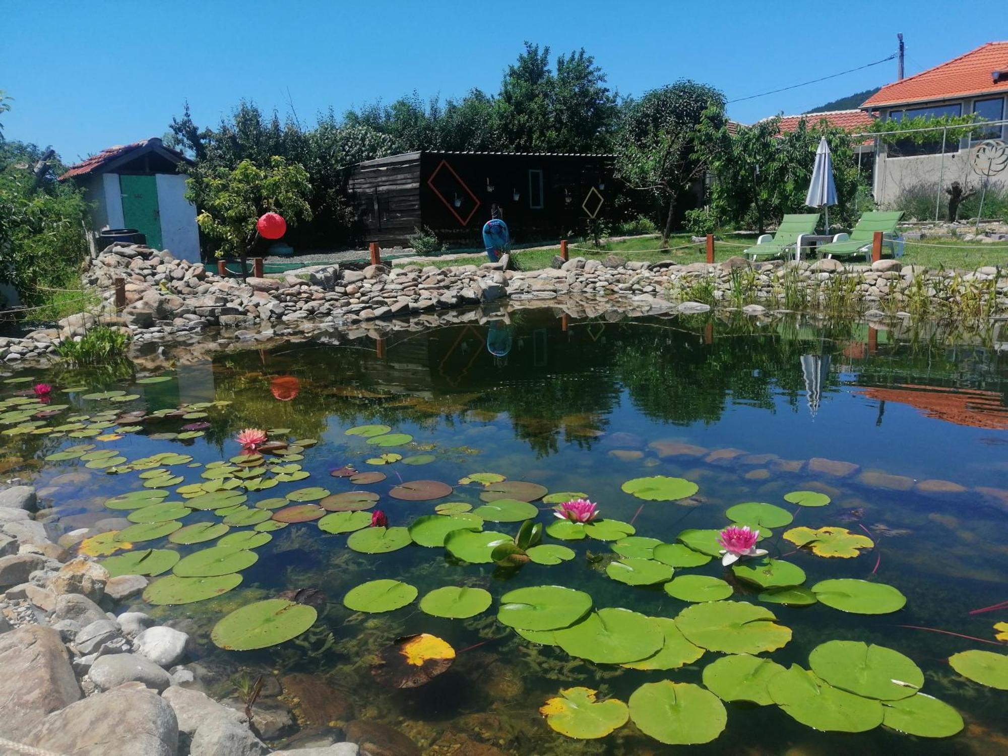 Calla Retreat Vezenkovo Buitenkant foto